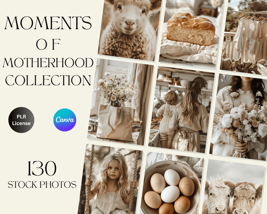 130 Images Moments of Motherhood Collection